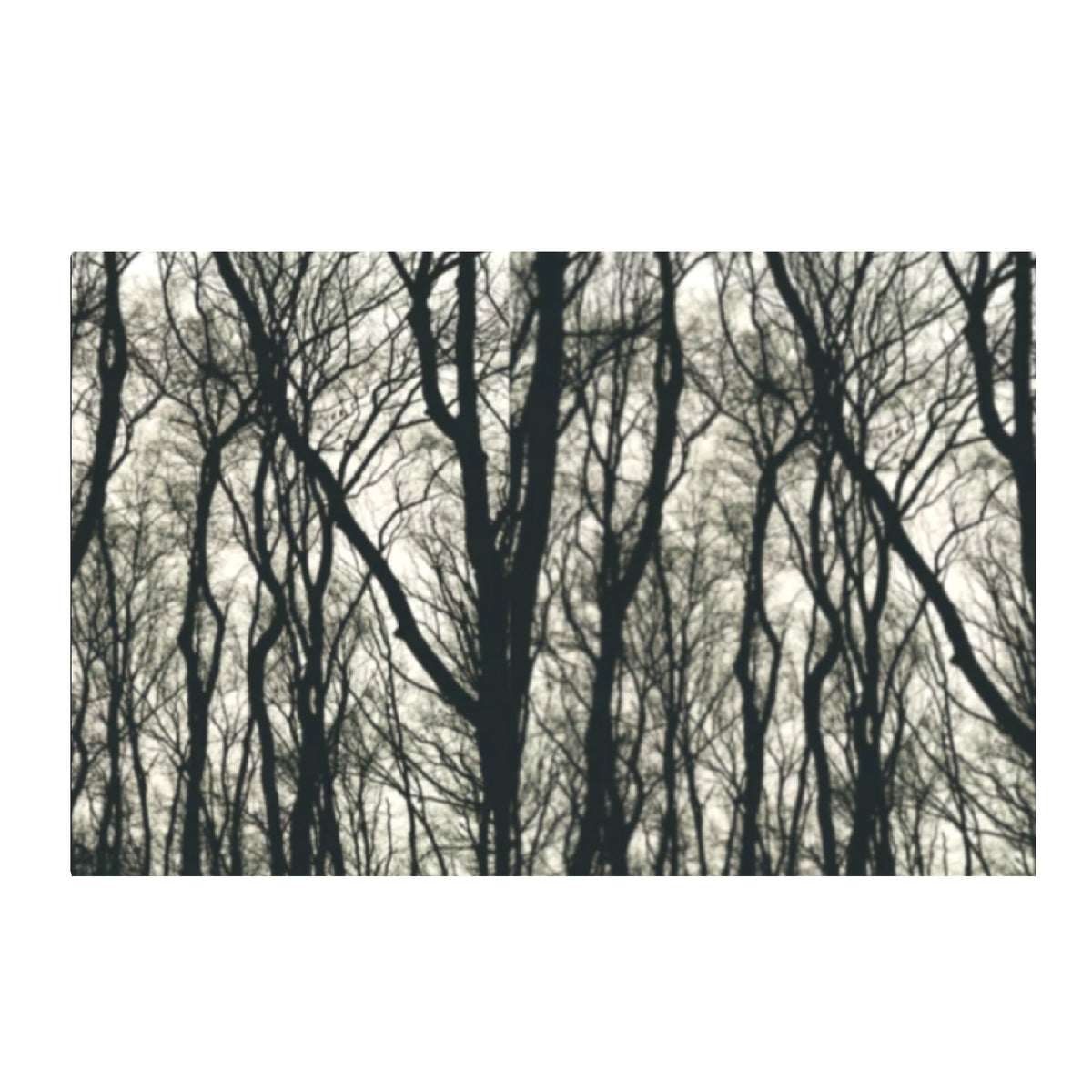 filename-1792992642-2-5GzpGBkwtd